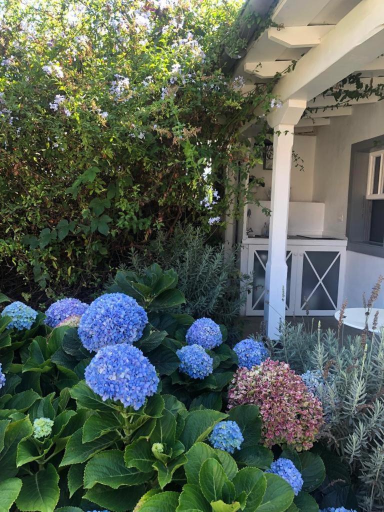 Casas La Principal Guest House San Pedro  Cameră foto