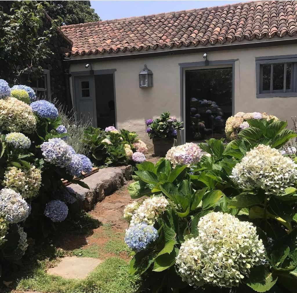 Casas La Principal Guest House San Pedro  Exterior foto